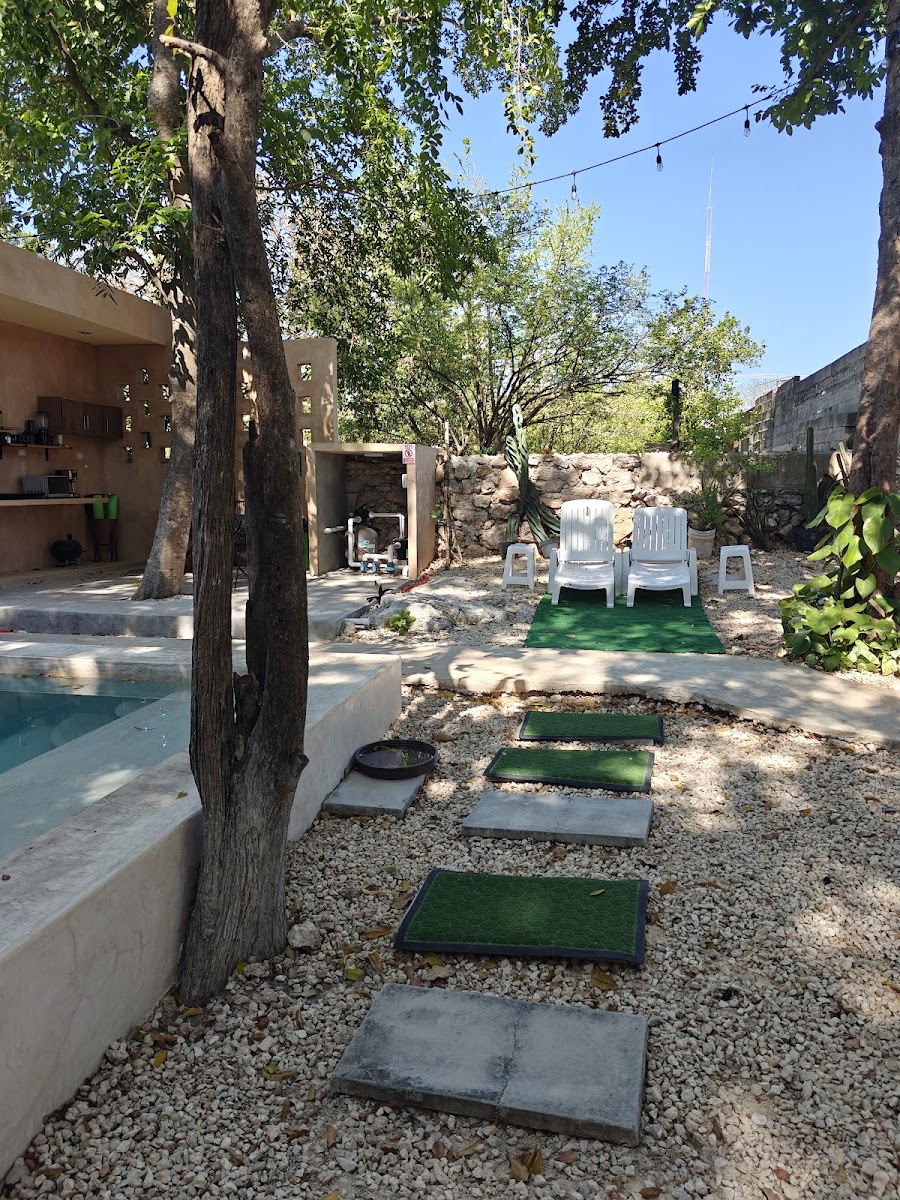 Casa Canul photo 2