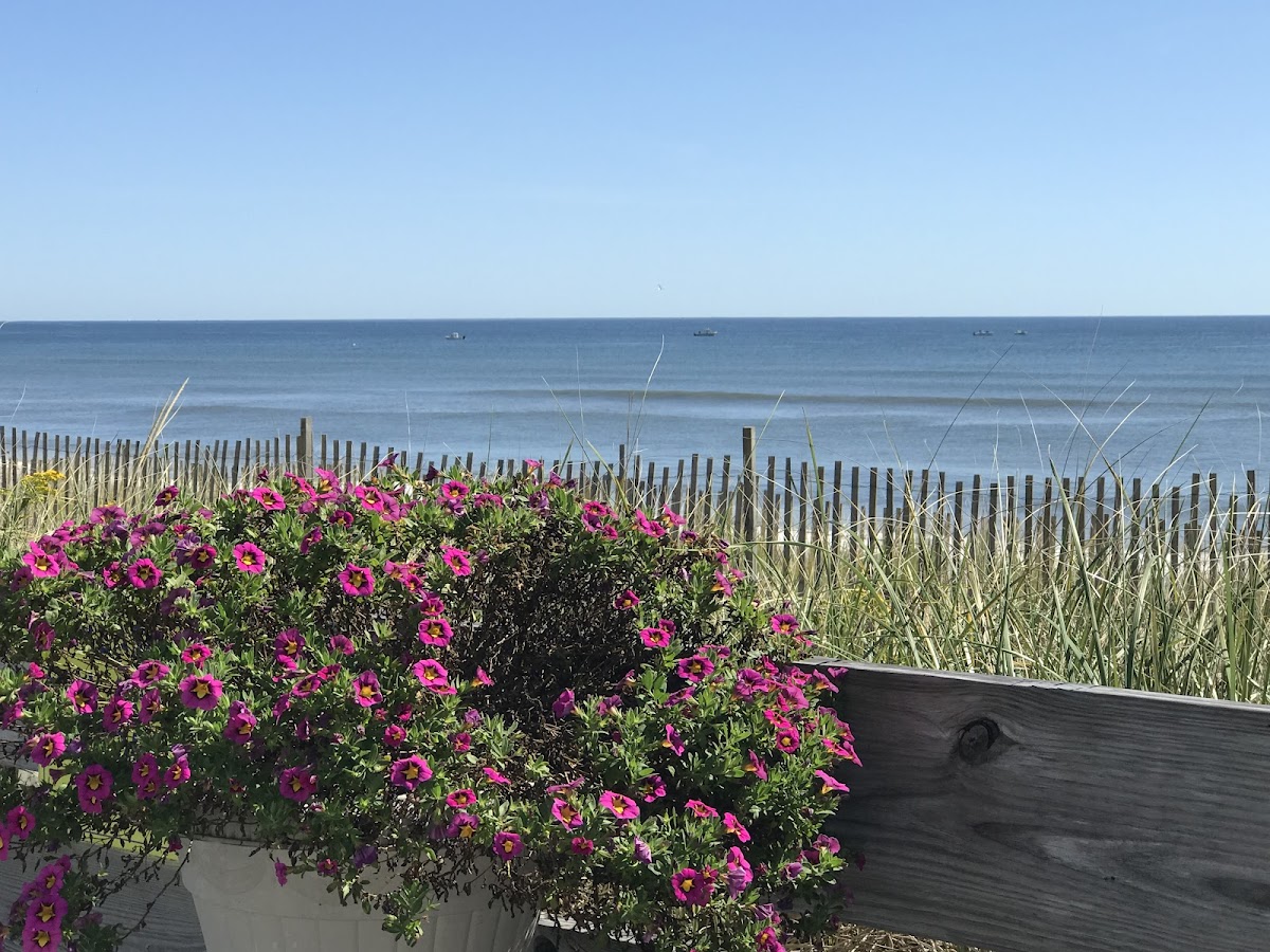 Ocean Surf Resort photo 2