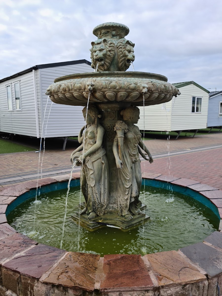 Robin hood camp