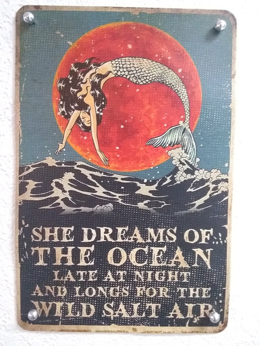 The Orca Inn photo 2