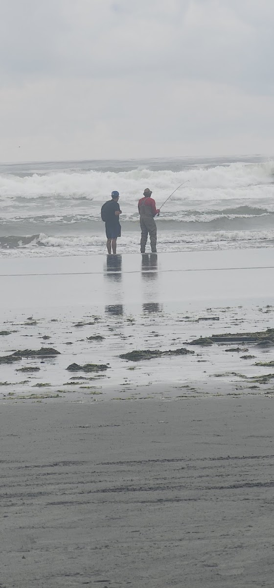 Pacific Beach Resort & Conference Center photo 3