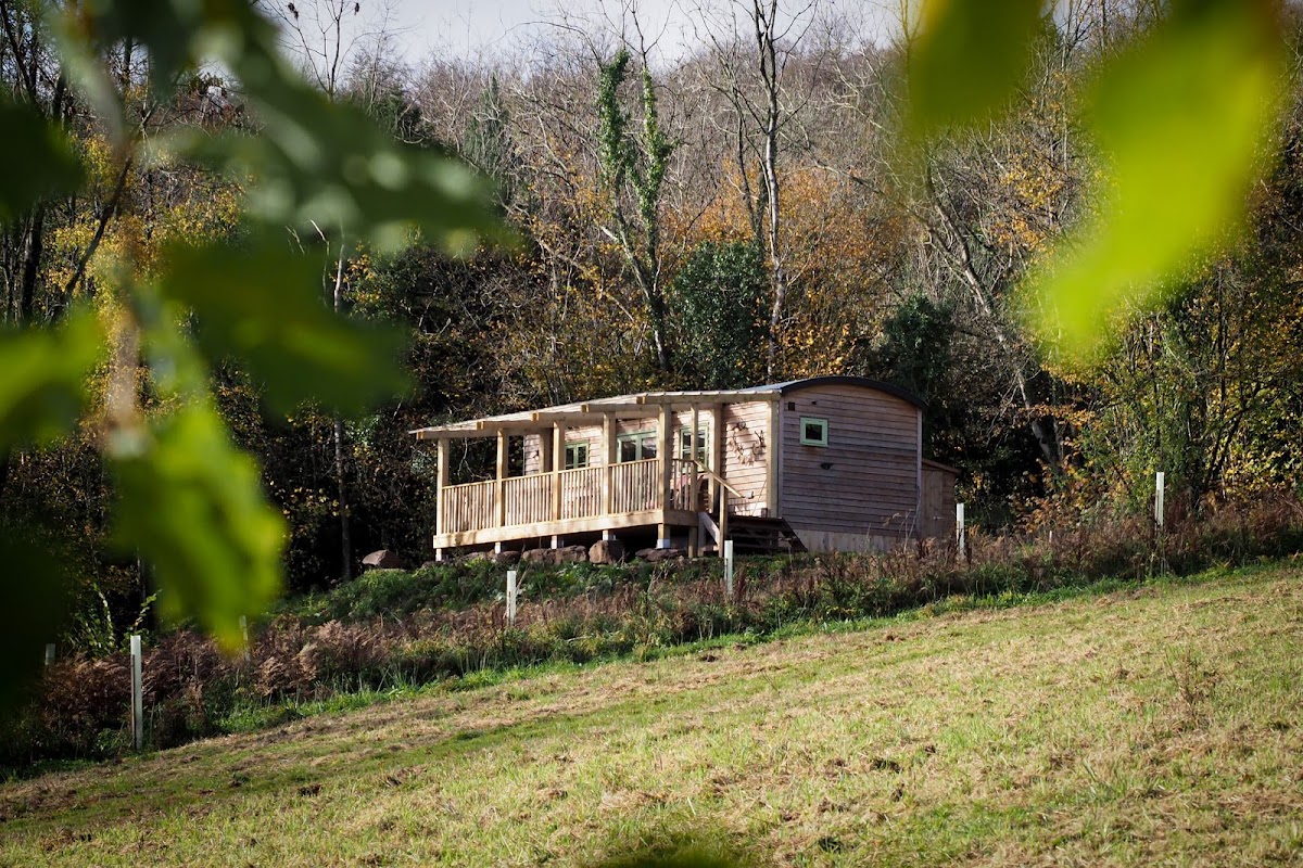 Resilient Woodlands Retreat