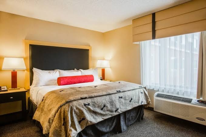 Cambria Hotel Minneapolis Maple Grove photo 3