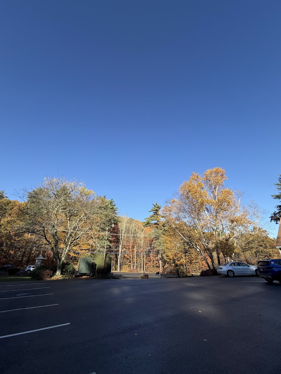 Hill-Brook Motel photo 3
