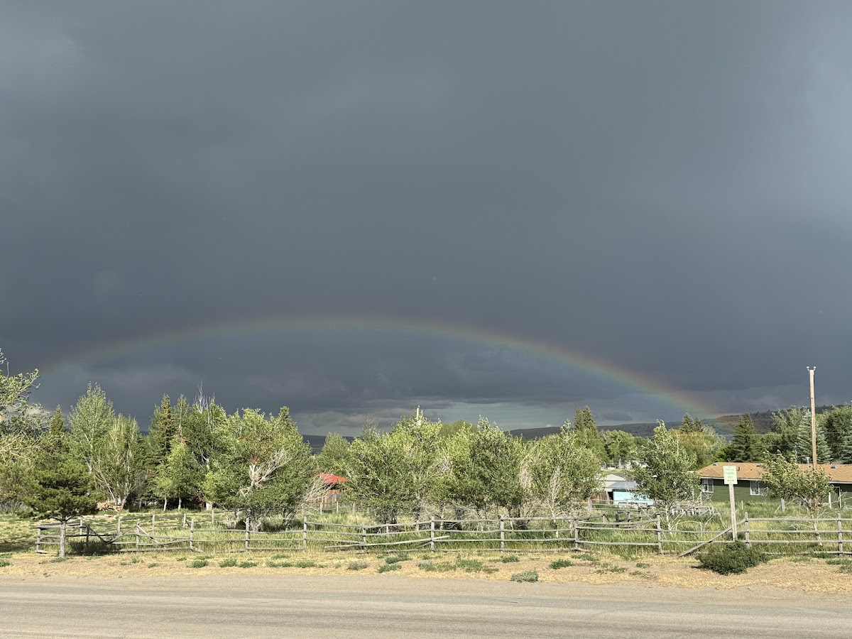 Pine Lodge photo 3