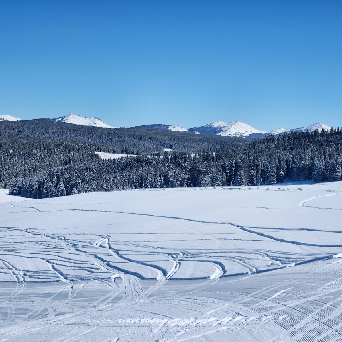 Meadowlark Ski Lodge