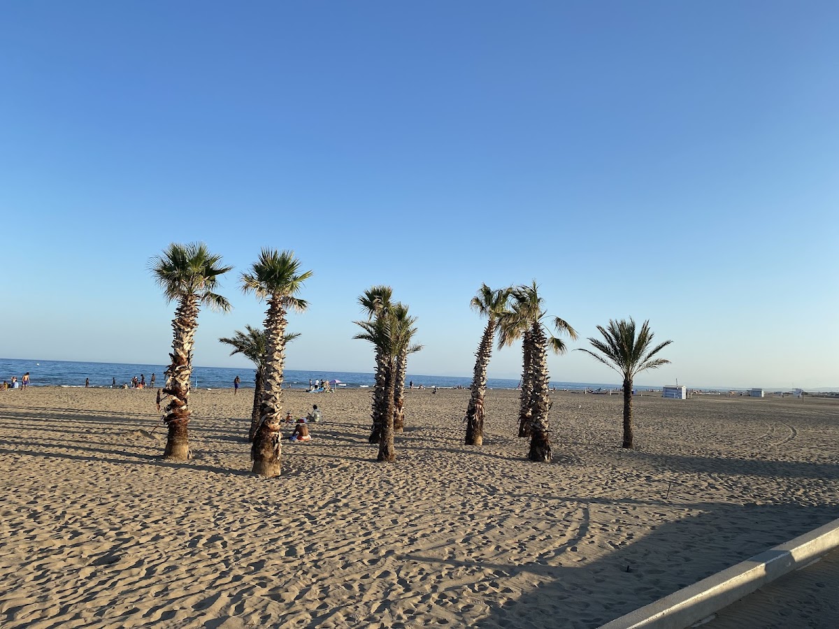Narbonne plage