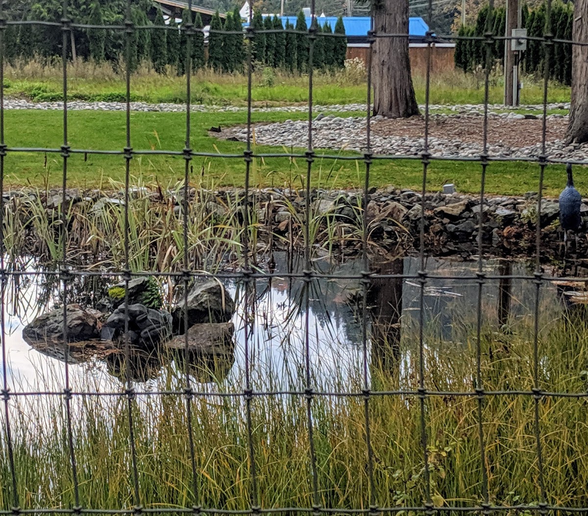 Riverfront Sanctuary photo 3