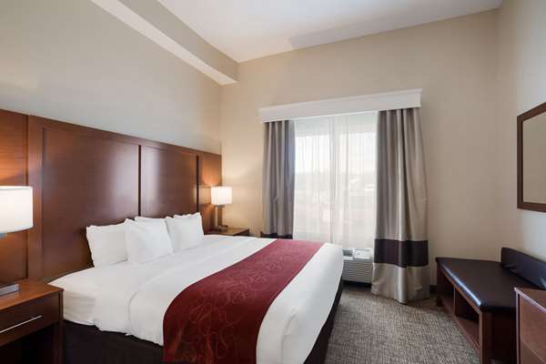 Comfort Suites Suffolk - Chesapeake photo 2