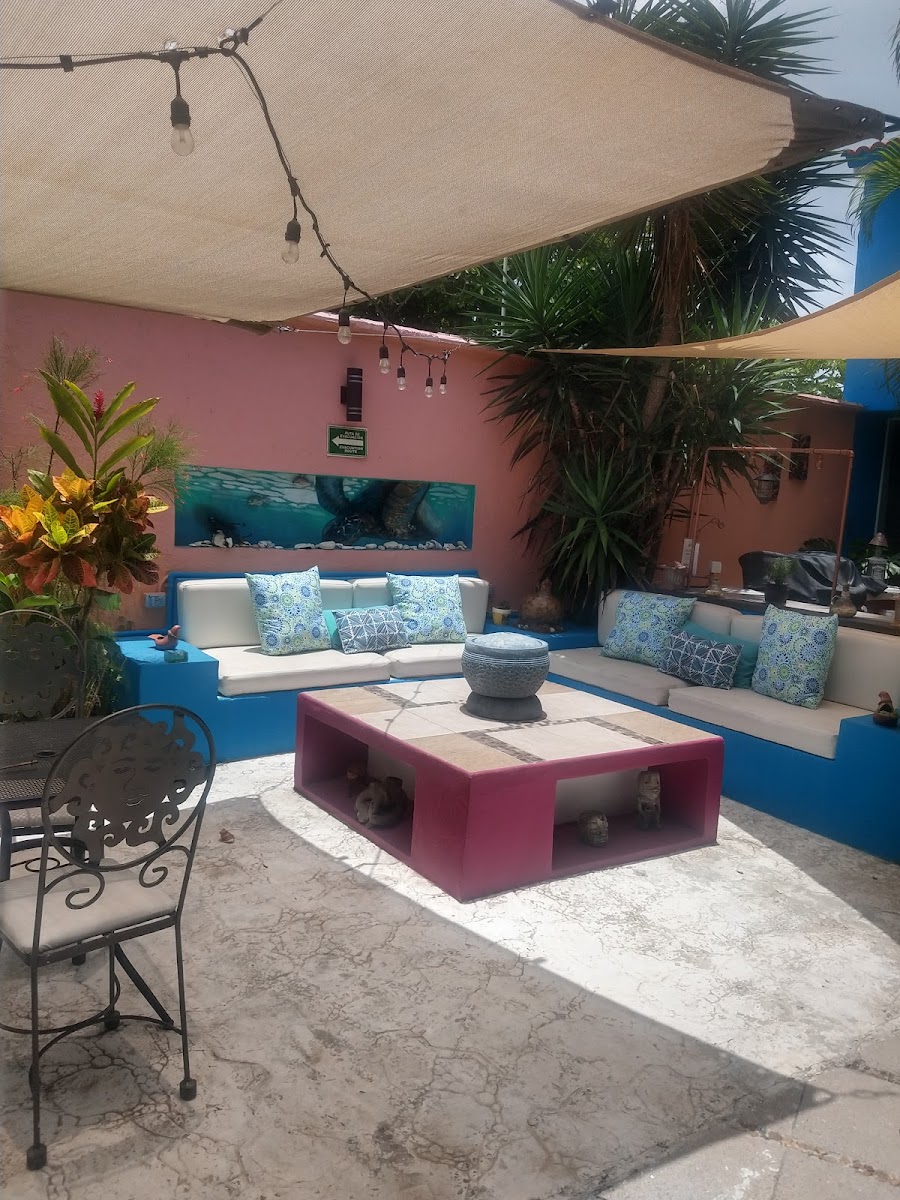 Villa las Anclas photo 3