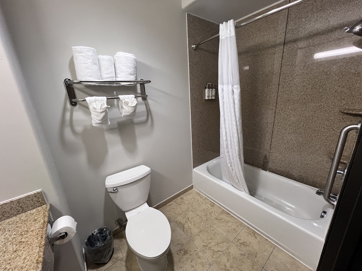 Holiday Inn Houston-Webster, an IHG Hotel photo 3