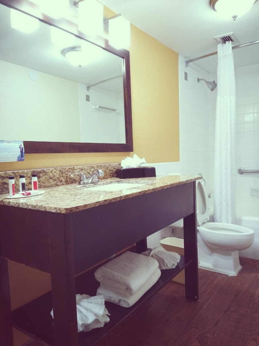 Ramada by Wyndham Tampa Westshore photo 2
