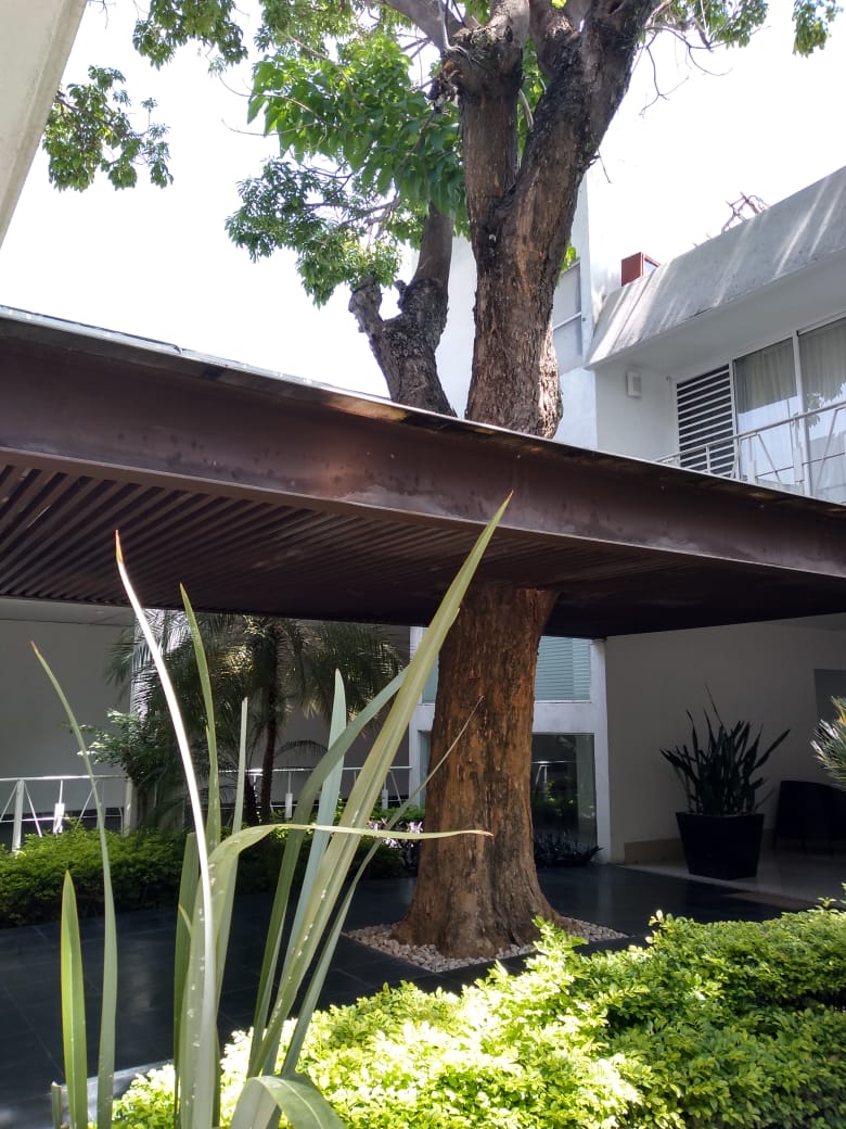 Hotel Jardines de Cuautla photo 3