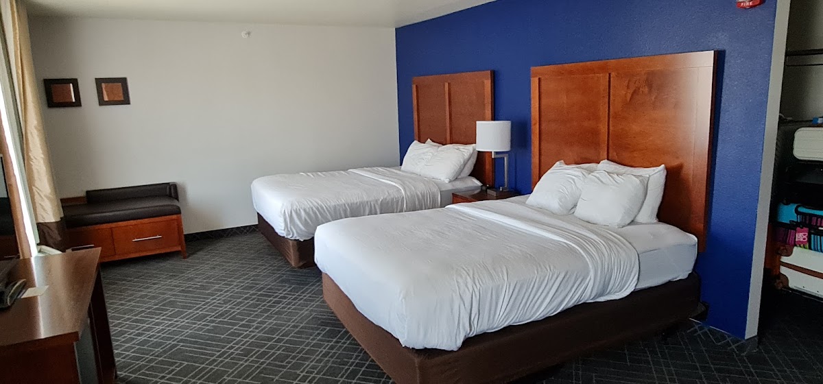 Comfort Suites Redding - Shasta Lake photo 2
