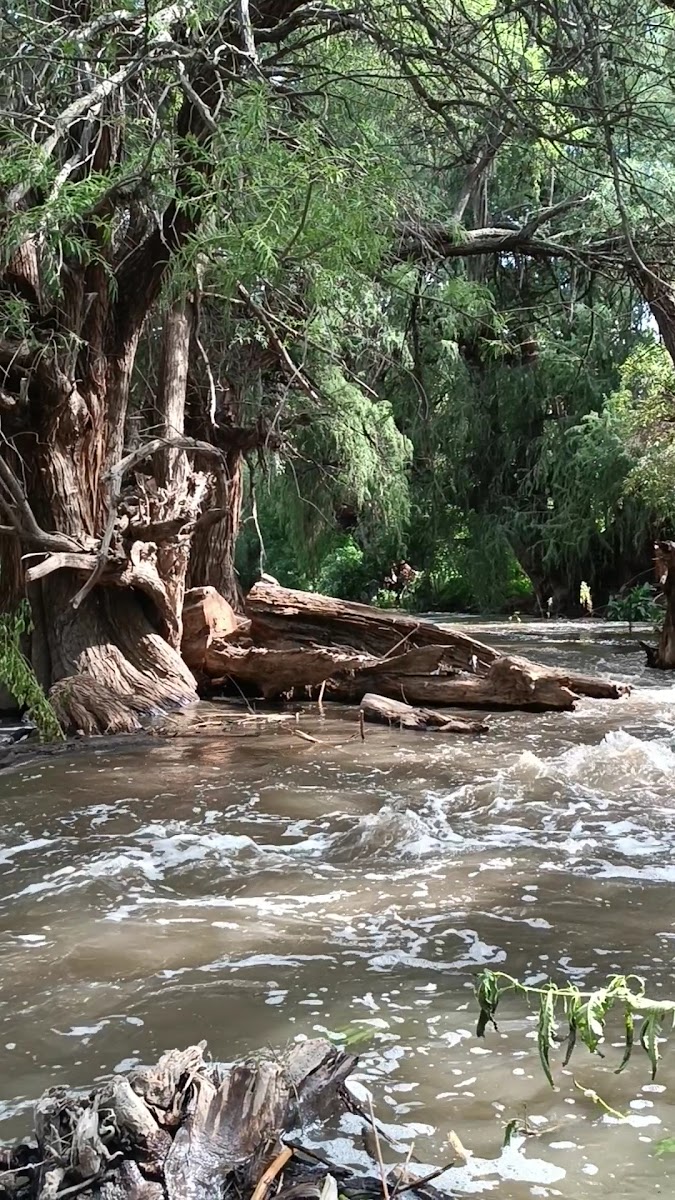 El Río