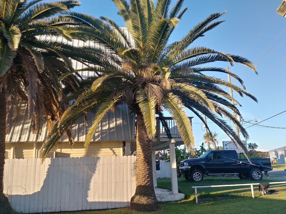 Tropical Motel photo 3