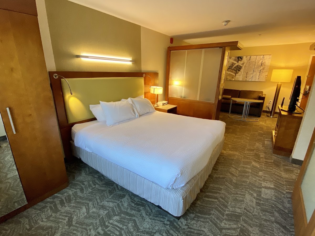 SpringHill Suites by Marriott Long Island Brookhaven photo 2