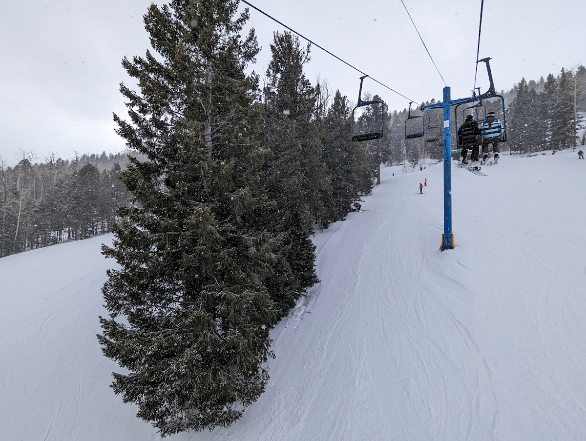 Pajarito Mountain Ski Area photo 2
