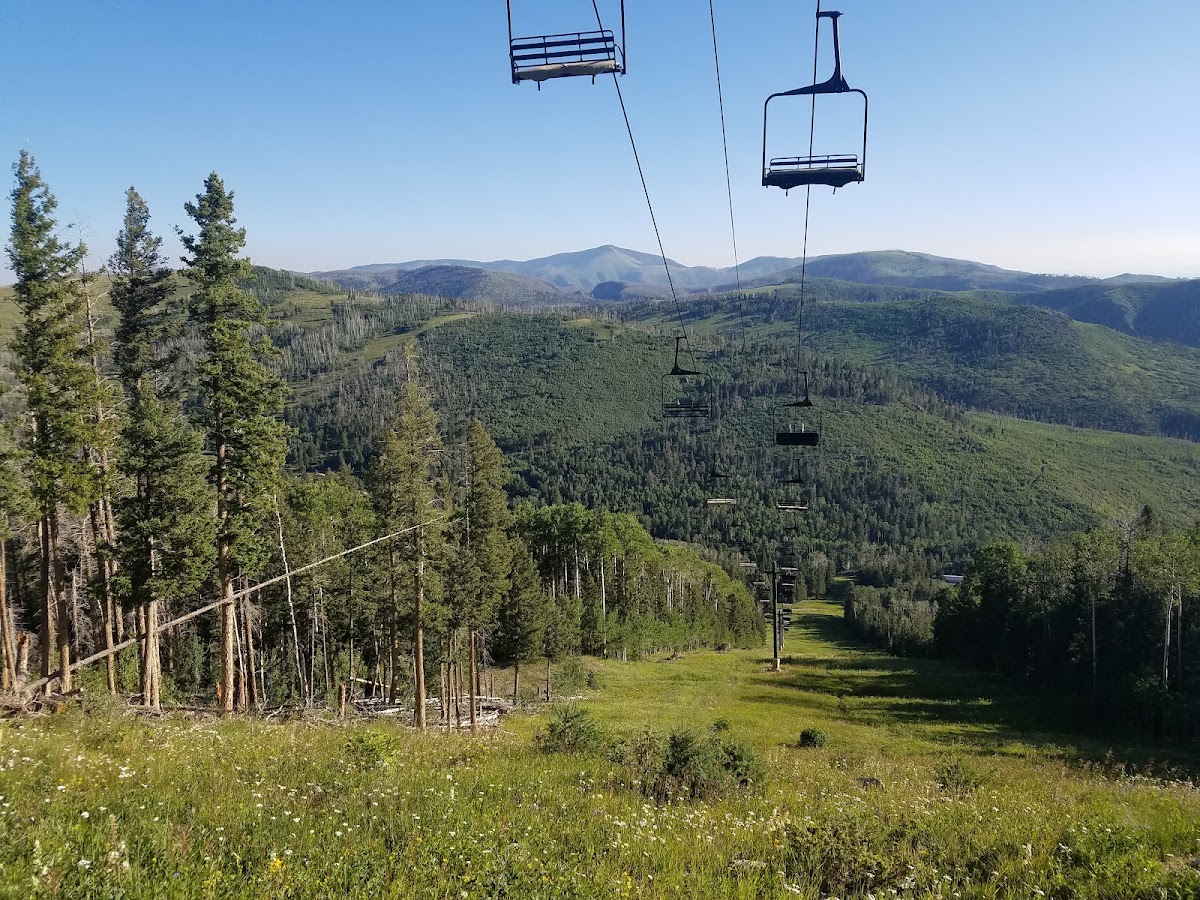 Pajarito Mountain Ski Area photo 3