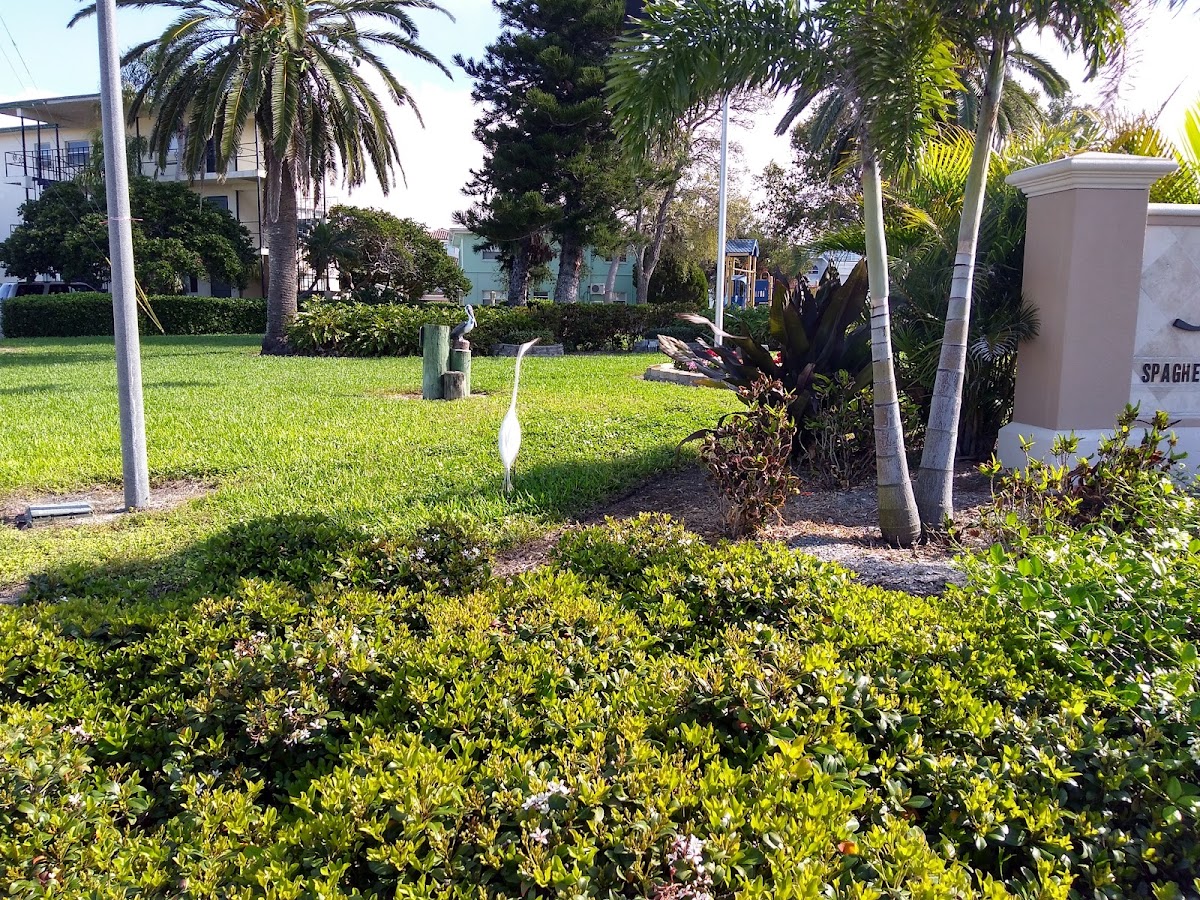 Black Pearl of Treasure Island photo 3