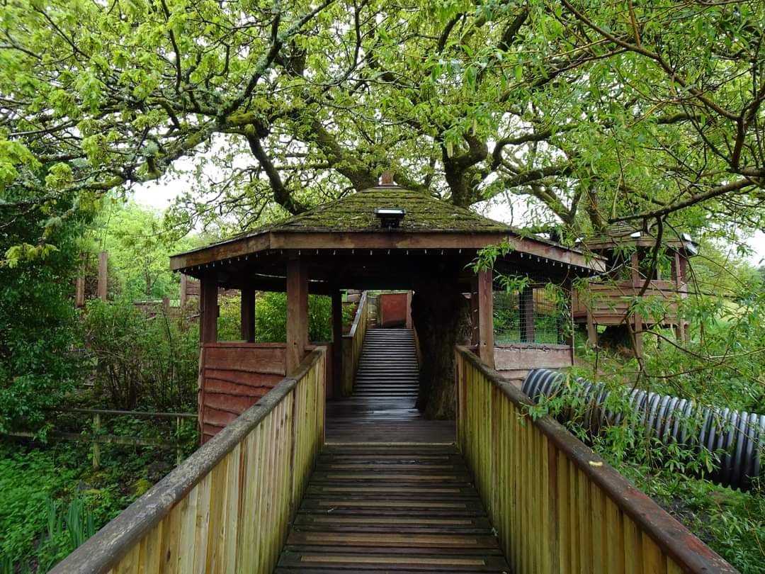 Bluestone Resort Check-in