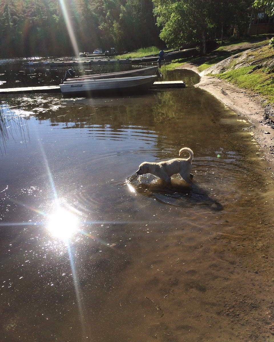 Mill Lake Lodge photo 2