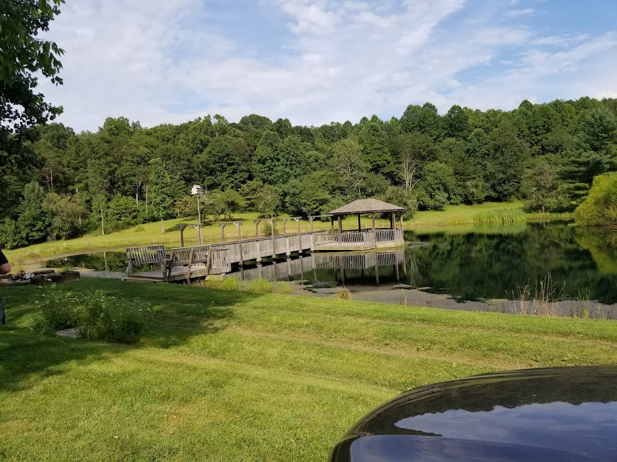 Lotus Lake Lodge photo 2