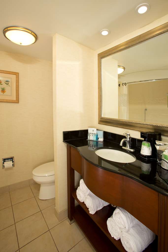 Hampton Inn Alexandria/Pentagon South photo 3