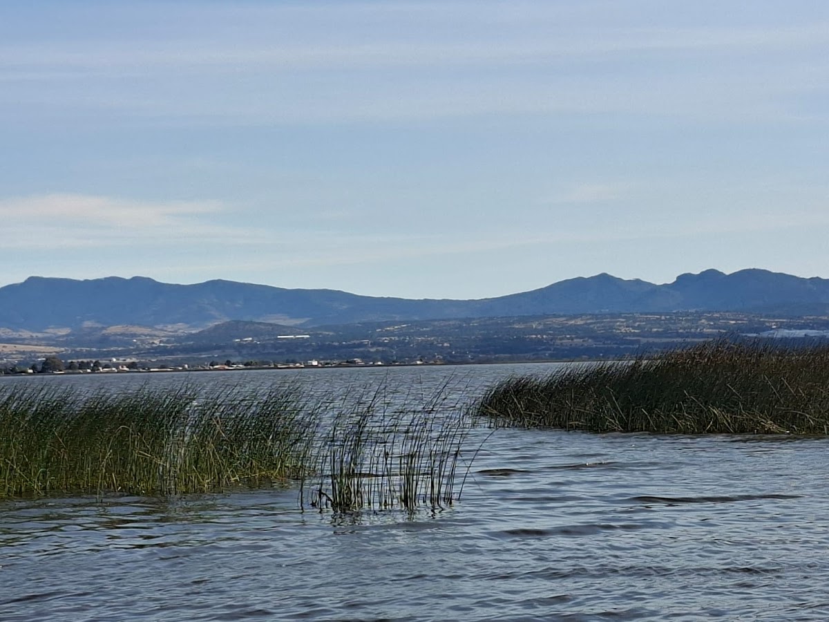 Laguna de Atlangatepec