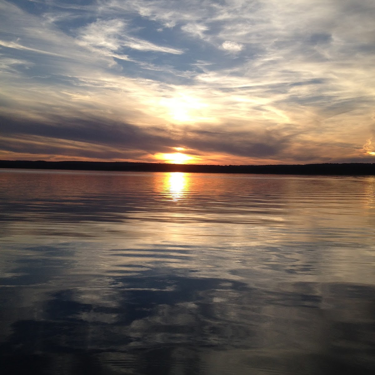 Pomme de Terre Resort photo 2