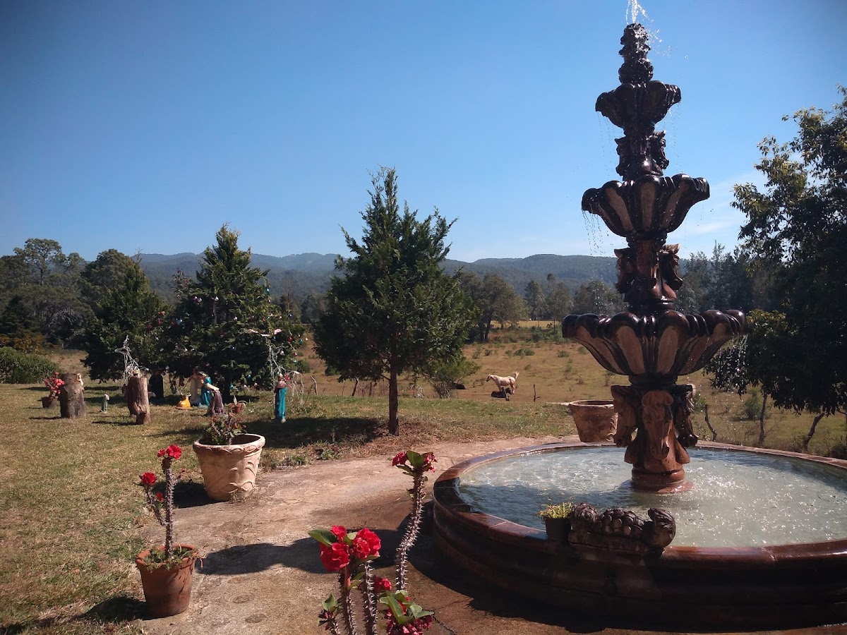 Rancho 'LA ESTAMPIDA' photo 3