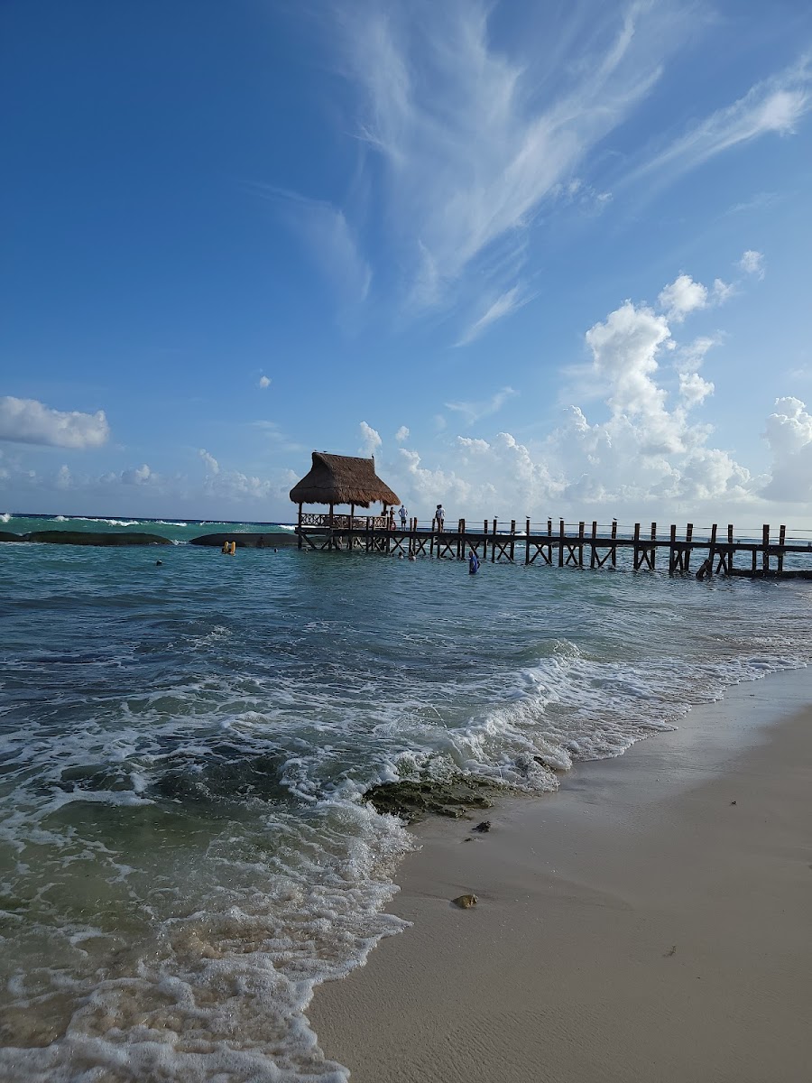 Ocean Riviera photo 3