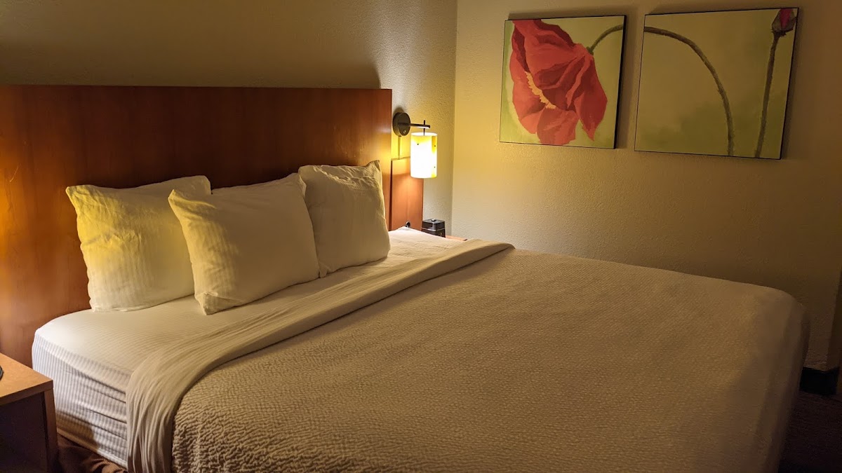 La Quinta Inn & Suites by Wyndham Charlotte Airport North photo 3