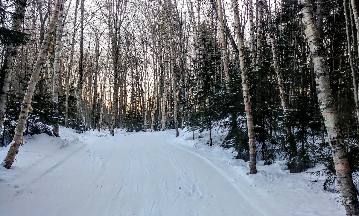 Timber Creek Cross Country Ski