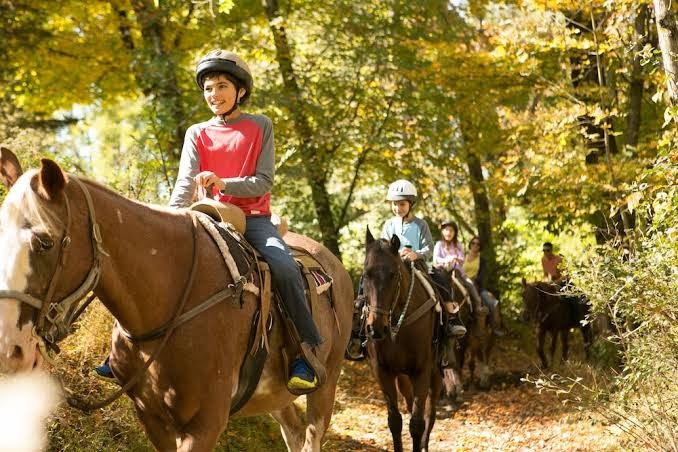 Pocono Mountain Villas by Exploria Resorts photo 3