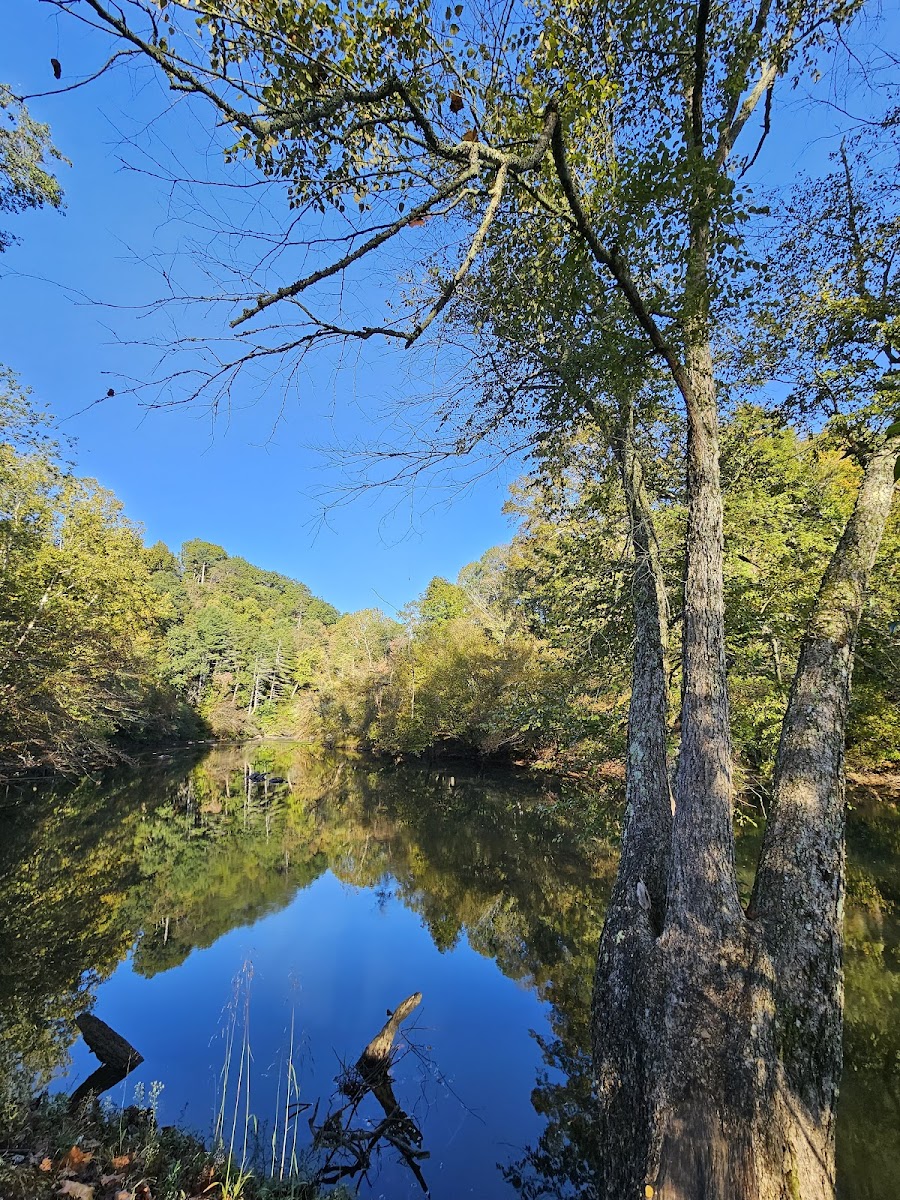 Coosawattee River Resort Villa