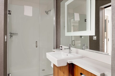 SpringHill Suites by Marriott Beaufort photo 2