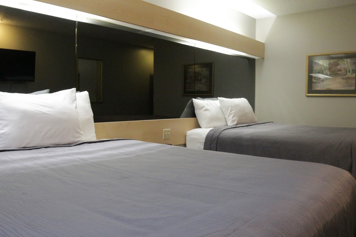 Americas Best Value Inn & Suites Jackson, TN photo 3