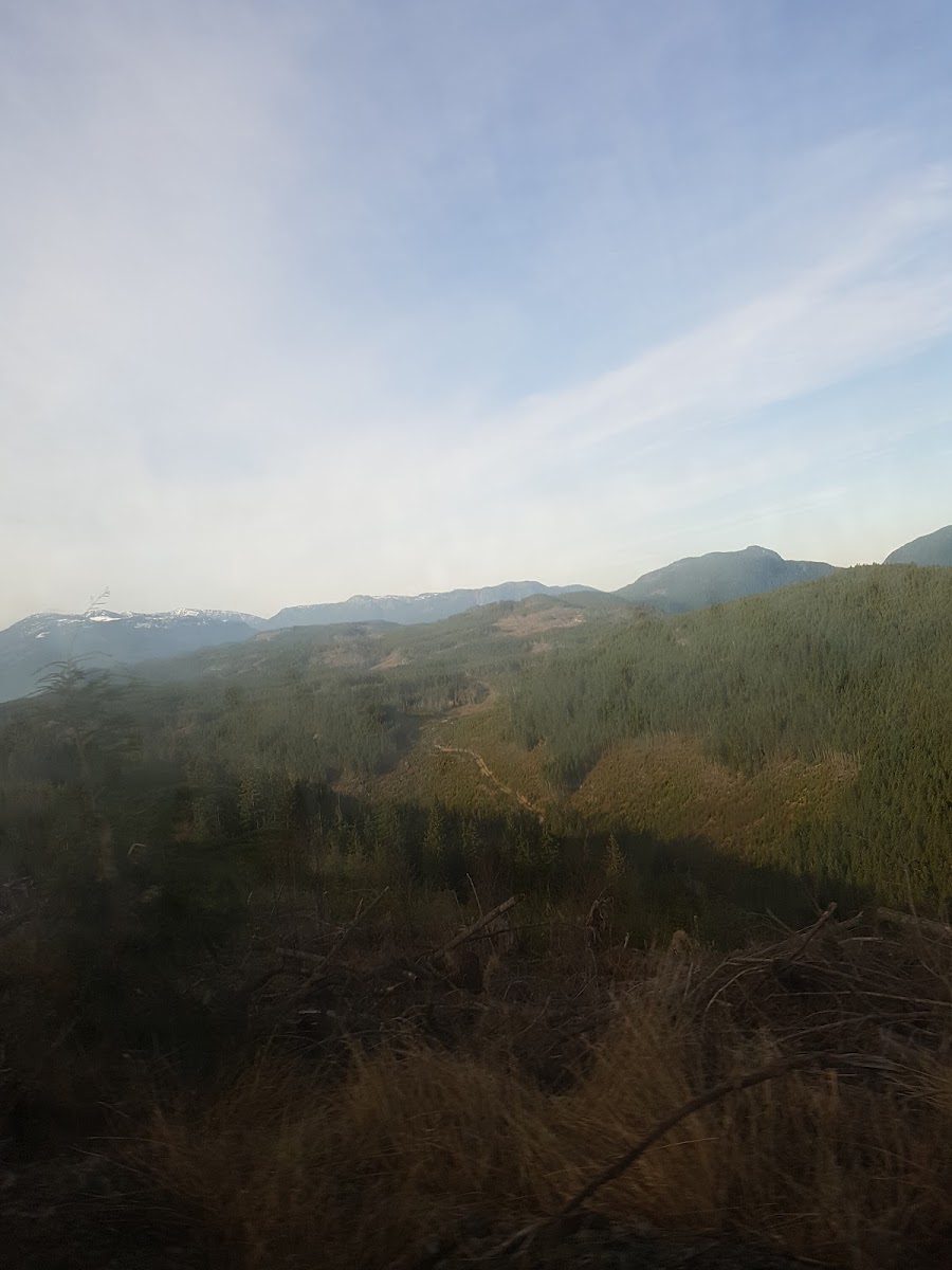 Cameron Lake Resort photo 3