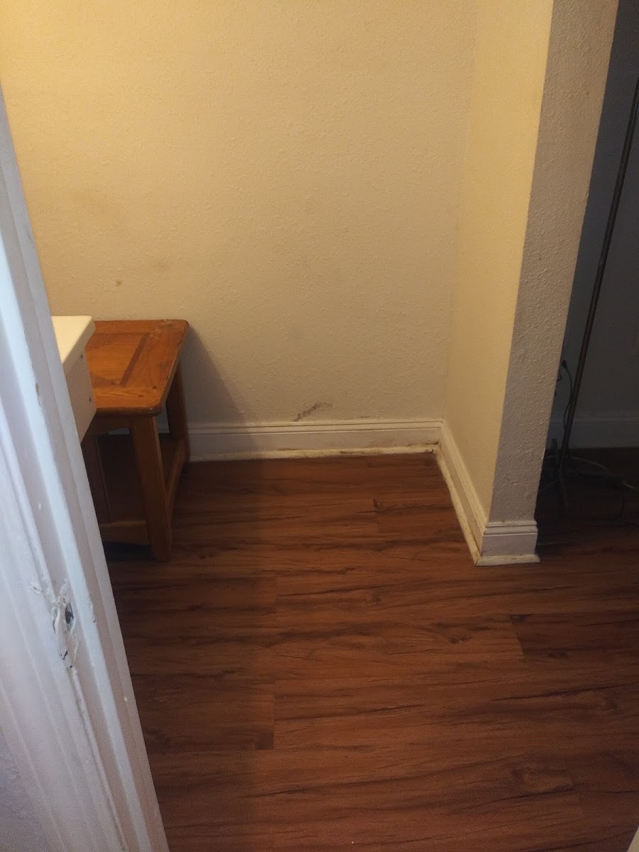 Economy Hotel Macon photo 3