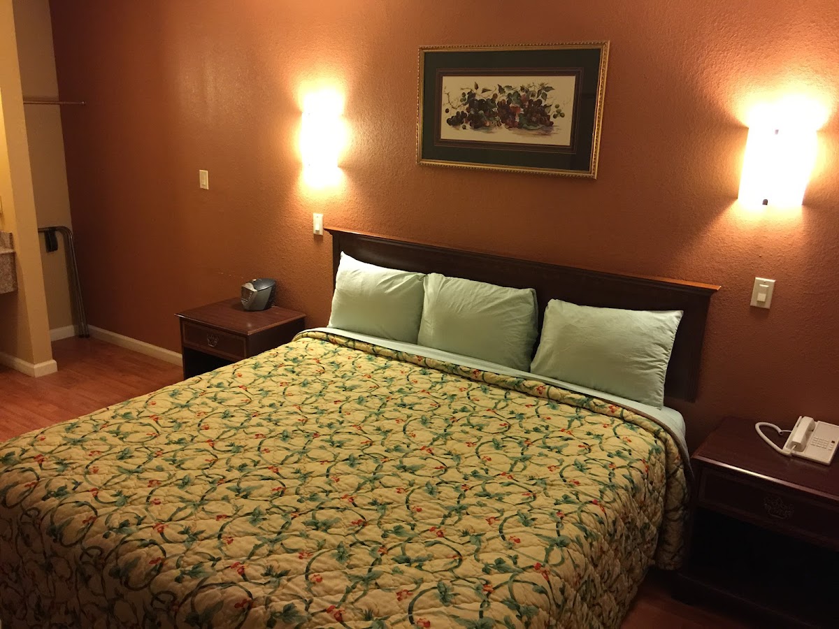 Bear creek Inn photo 2