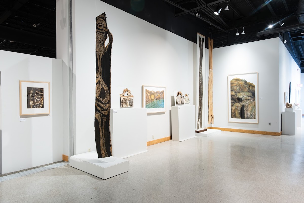 Roberson Museum