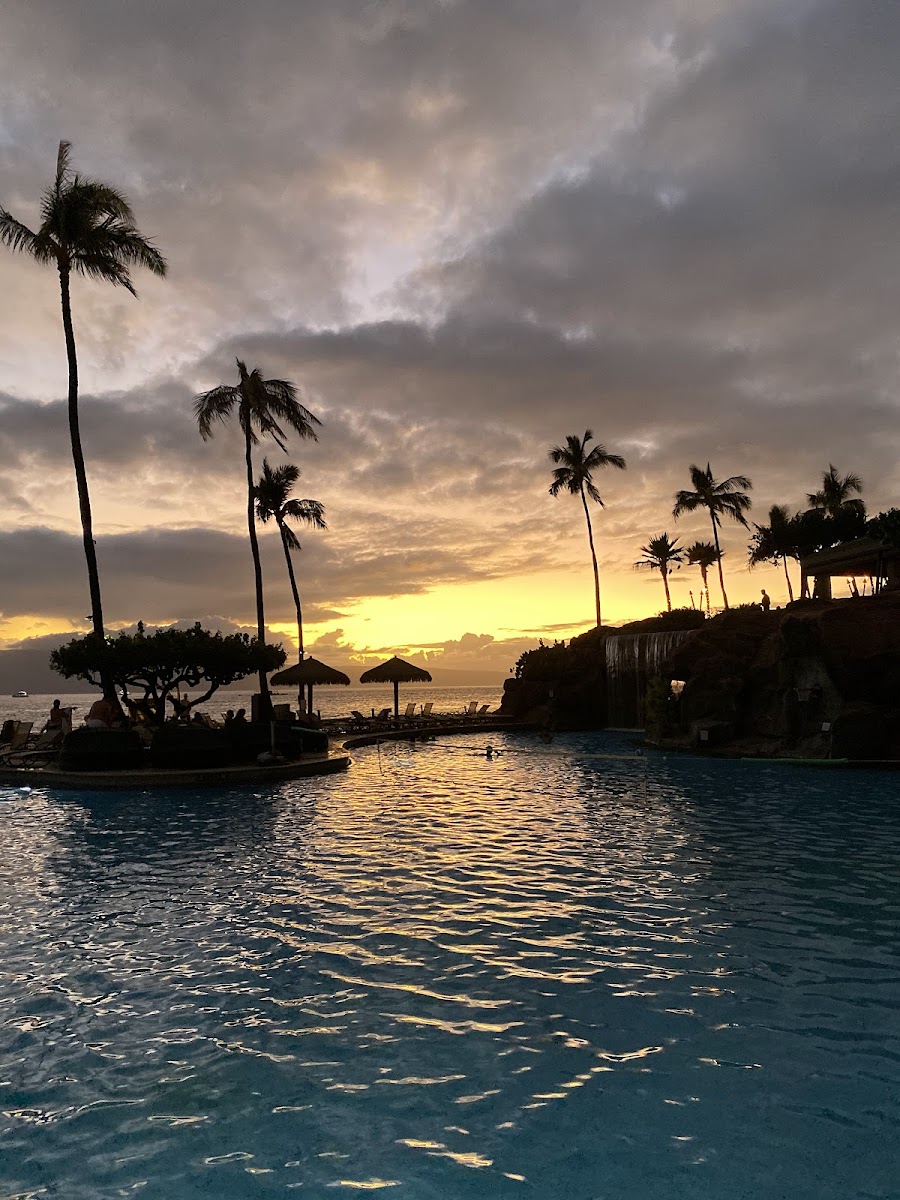 Hyatt Regency Maui Resort and Spa photo 2