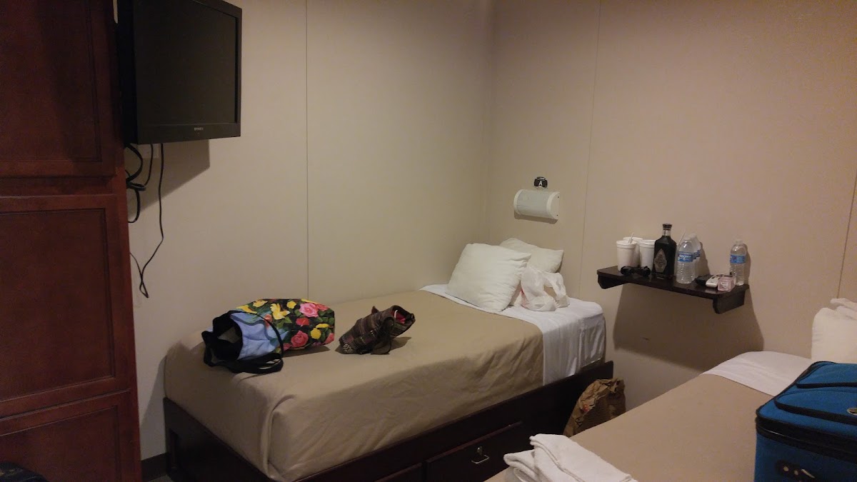 OneLodge Camp by Cotton Logistics photo 2