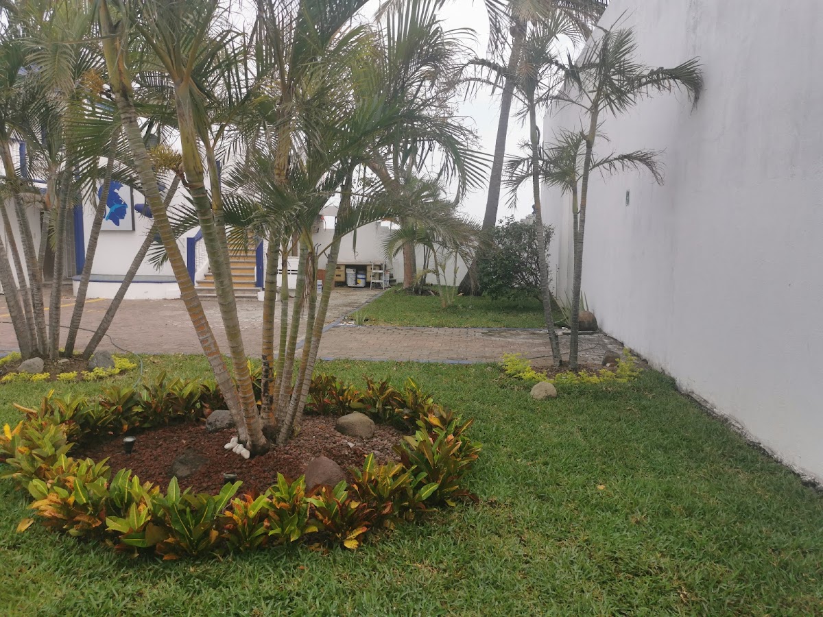 Motel Atenea photo 3