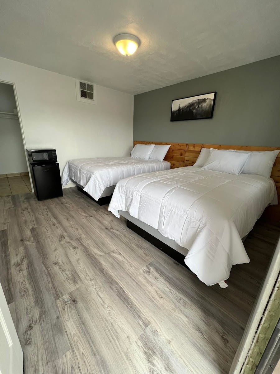 Black Pine Inn photo 3