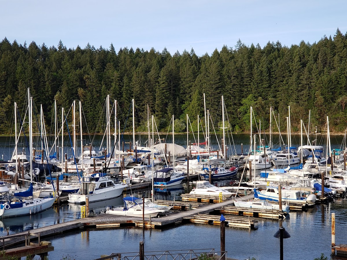 The Marinaside Resort photo 3