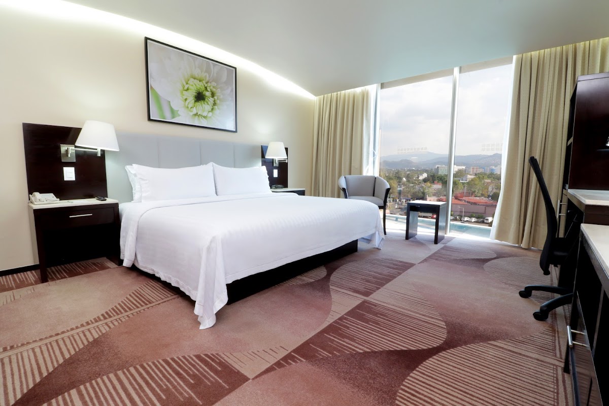 Holiday Inn & Suites Mexico Medica sur photo 2