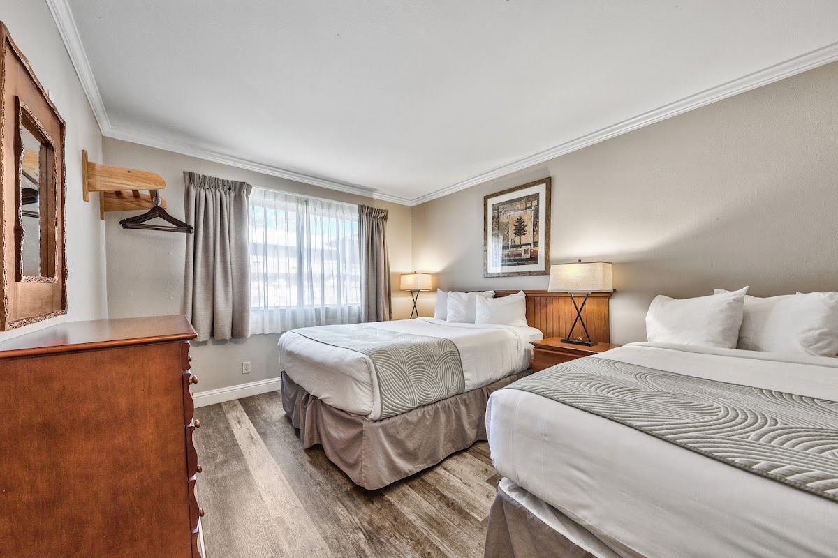 Forest Suites Resort photo 2