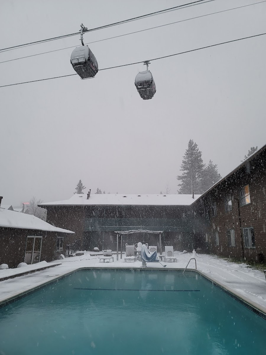 Forest Suites Resort photo 3